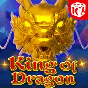 Hoàn trả cho người mới 5pet