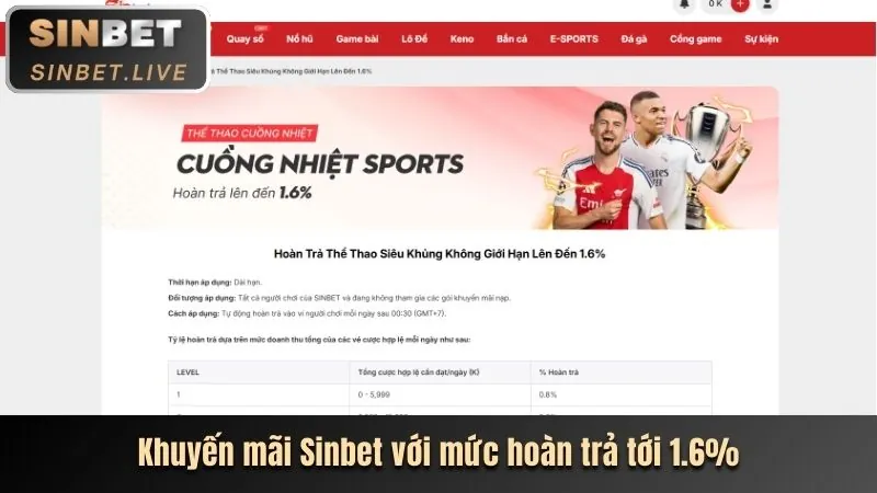 Khám phá nền tảng 5pet